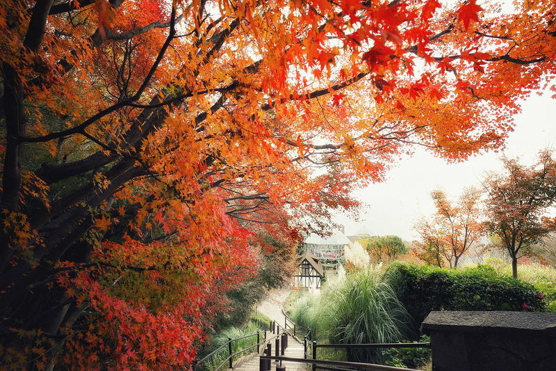 Kobe Nunobiki Herb Gardens Ticket & Ropeway Ticket - Starting at Shin-Kobe Station