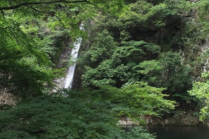 Kobe private tour from Osaka (Shore excursion available from Osaka or Kobe port) - Kitano’s foreign residences and Kobe’s international past