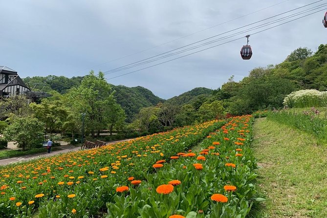 Kobe private tour from Osaka (Shore excursion available from Osaka or Kobe port) - The $195.96 price and what you receive