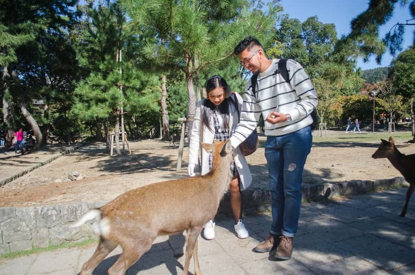 Kobe: Private Walking Shore Excursion- Kyoto/Osaka/Nara/Kobe - A private shore day with room to change plans