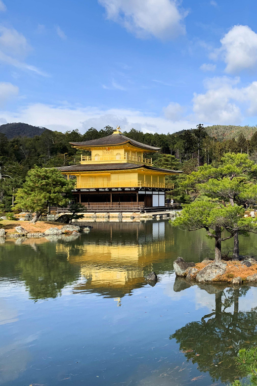 Kobe: Private Walking Shore Excursion- Kyoto/Osaka/Nara/Kobe - Nara for deer and the Great Buddha