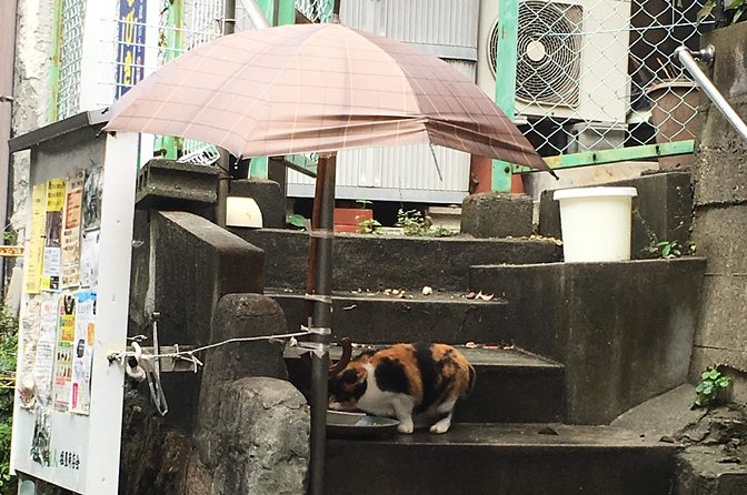 KOBE, SHIOYA, a quaint fishing town walking tour - Old Guggenheim House and the view above Shioya Beach