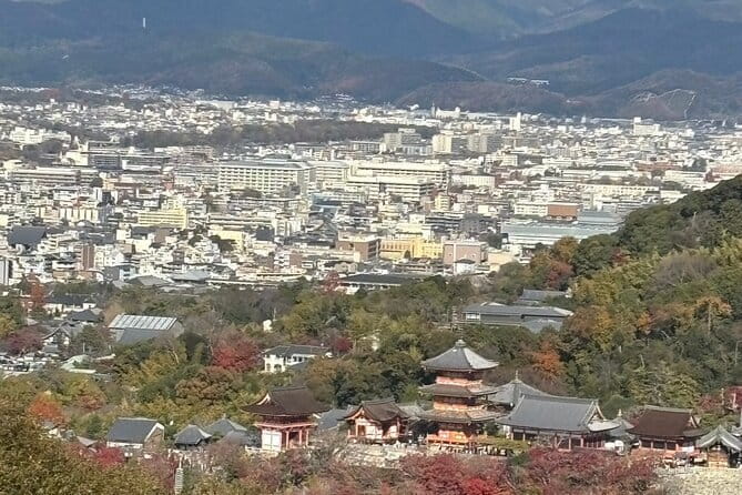 Kyoto 1 Day Suntory Yamazaki Distillery Tour and Asahi Art Museum - What the $163.30 price really buys