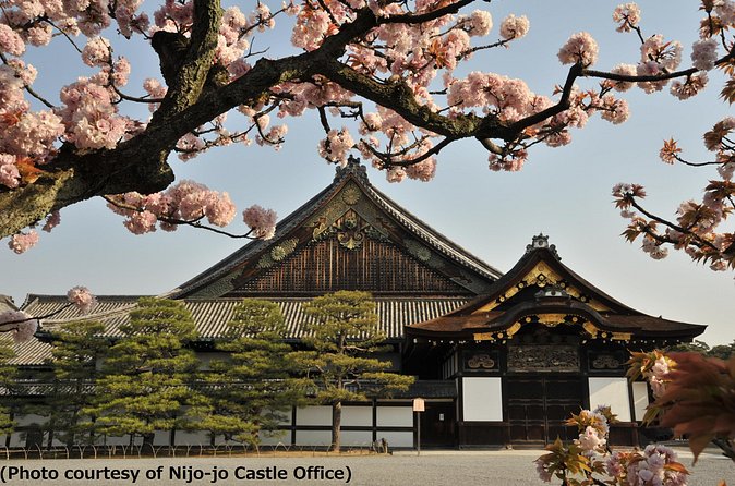 Kyoto 1 Day Tour from Osaka - Kyoto Imperial Palace and its possible substitute