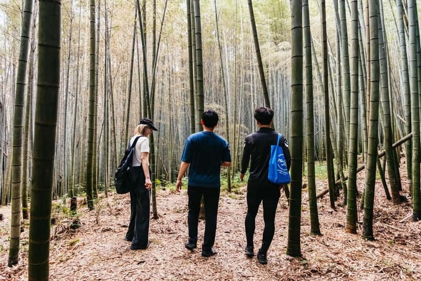Kyoto: 3-Hour Fushimi Inari Shrine Hidden Hiking Tour - The guides and the cultural side