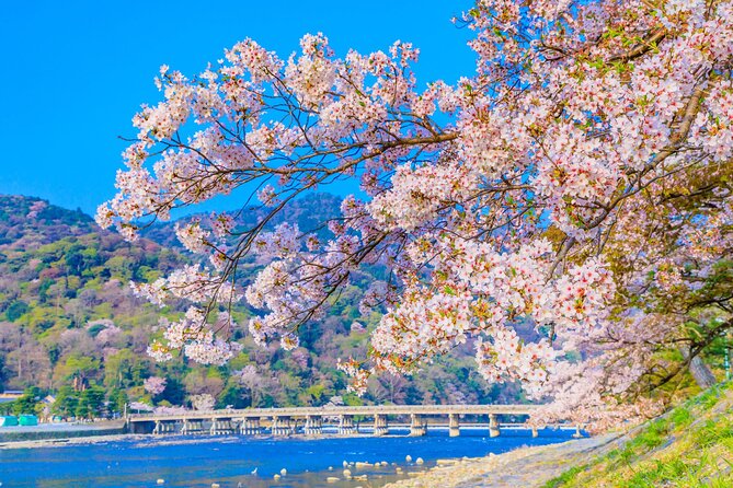 Kyoto 6hr Instagram Highlights Private Tour with Licensed Guide - Yasaka Shrine, the pagoda view, and Gion