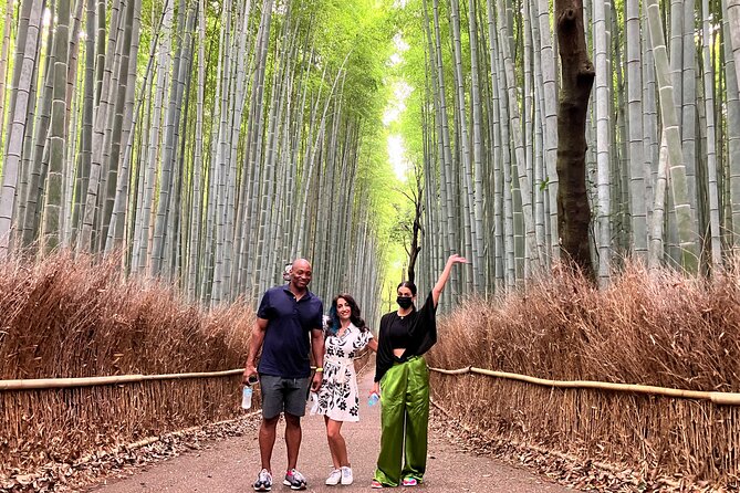 Kyoto 8hr Private Tour with Government-Licensed Guide - Nijo Castle and the Imperial Palace: Kyoto’s political side