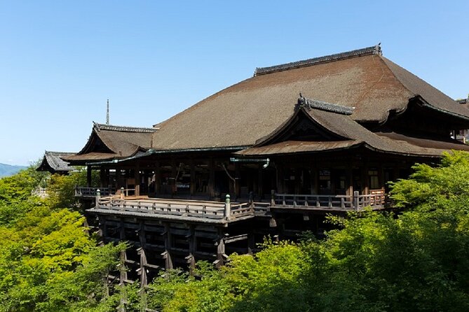 Kyoto Afternoon Tour from Kyoto or Osaka - Walking, crowds, and practical planning