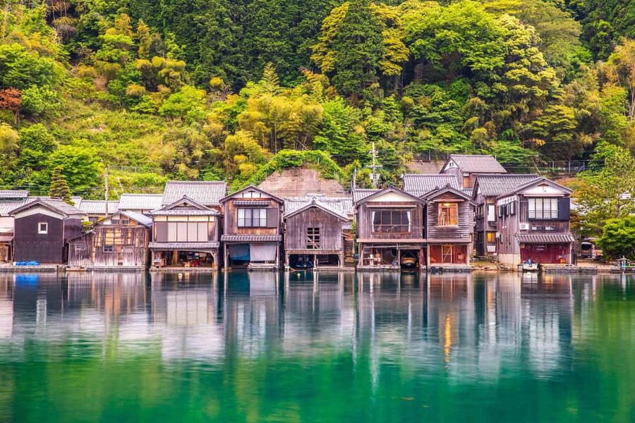 Kyoto Amanohashidate,Ine Bay Trip with Optional boat/Ropeway - The optional boat ride, with birds at close range