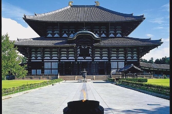 Kyoto and Nara Day Trip from Kyoto - Why this Kyoto and Nara tour works well