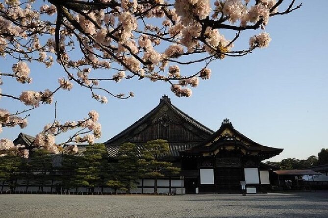 Kyoto and Nara Day Trip from Kyoto - Kyoto Imperial Palace and its ceremonial setting