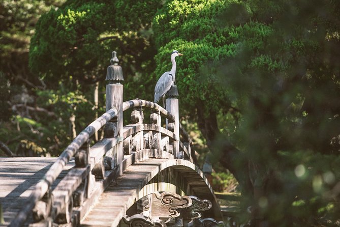 Kyoto and Nara Day Trip from Kyoto - Lunch choices and the transfer to Nara