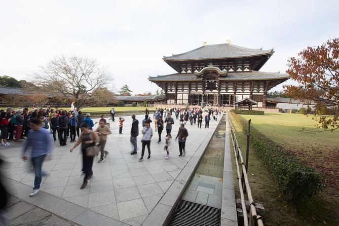 Kyoto and Nara Day Trip from Kyoto - Todai-ji and Nara’s Great Buddha