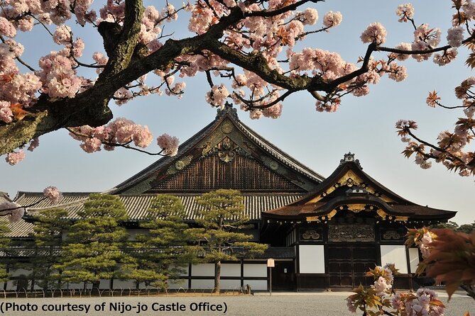 Kyoto and Nara Day Trip from Osaka - Why this Osaka day trip makes sense