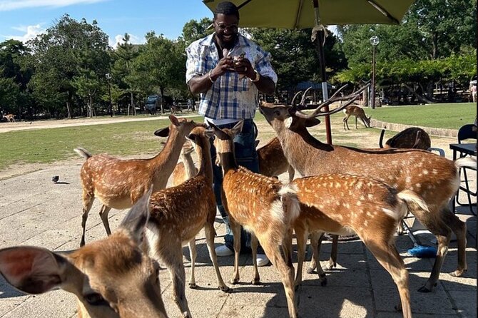 Kyoto and Nara Private Car Tour with a Local English Guide Driver - Key points to know before booking