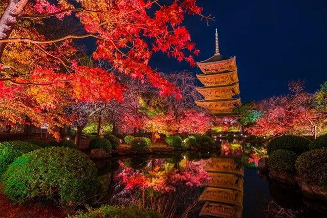 Kyoto and Nara Private Car Tour with a Local English Guide Driver - What the 10-hour private format really gives you