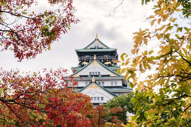 Kyoto and Nara UNESCO Highlights Full-day Tour From Osaka - Walking, weather, and the pace of the day