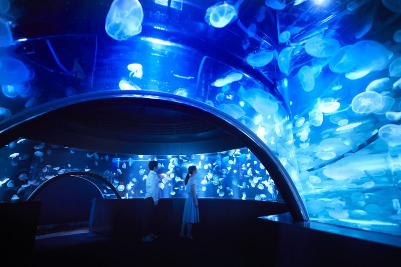 Kyoto Aquarium Admission Ticket - Kyoto’s waterways set the tone