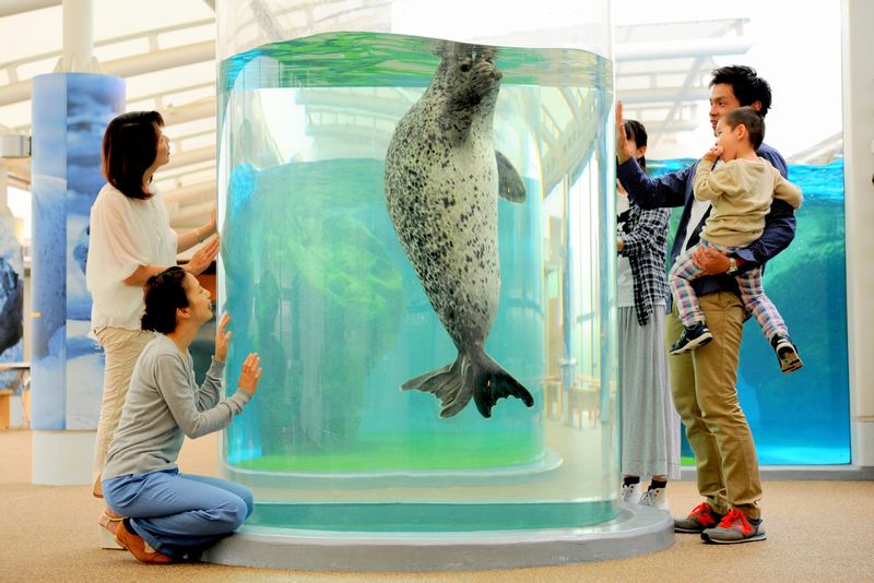 Kyoto Aquarium Admission Ticket - Feeding events make timing worthwhile