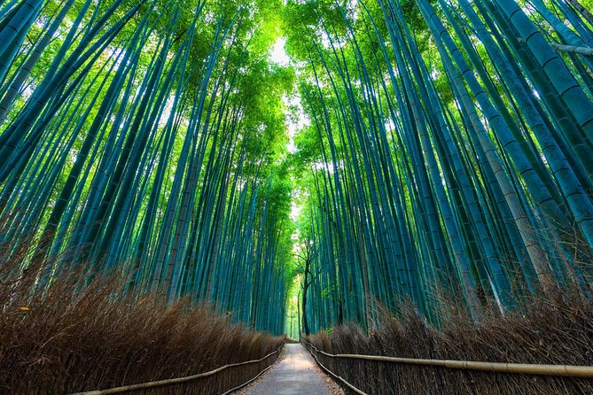 Kyoto Arashiyama Bamboo forest & Garden Half-Day Walking Tour - Why this Arashiyama walk feels different