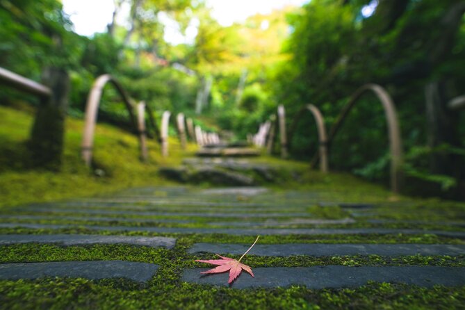 Kyoto Arashiyama Bamboo forest & Garden Half-Day Walking Tour - Okochi Sanso Garden and the matcha pause