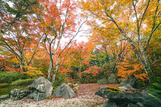 Kyoto Arashiyama Bamboo forest & Garden Half-Day Walking Tour - Tenryuji Temple and Zen gardens