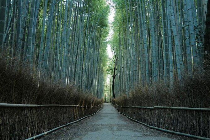 Kyoto Arashiyama Bamboo Forest Hiking Tour(Hidden Temples) - Key points at a glance
