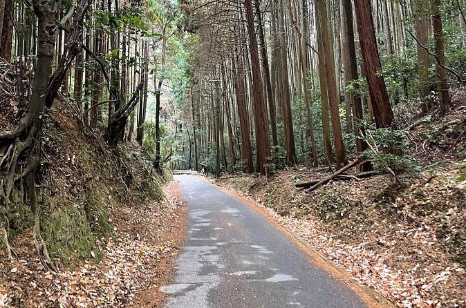 Kyoto Arashiyama Bamboo Forest Hiking Tour(Hidden Temples) - What $52.71 buys you
