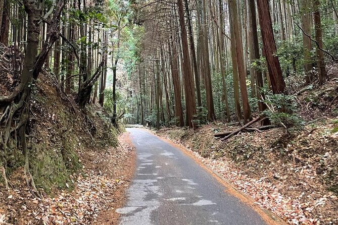 Kyoto Arashiyama Bamboo Forest Hiking Tour(Hidden Temples) - Who should book this hike