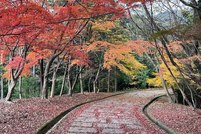 Kyoto Arashiyama Bamboo Forest Hiking Tour（Hidden Temples） - Walking the bamboo forest without losing the route