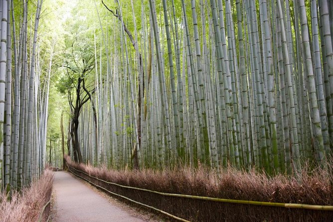 Kyoto Arashiyama Bamboo Forest & Scenery Customized Private Tour - Meeting at Saga-Arashiyama Station