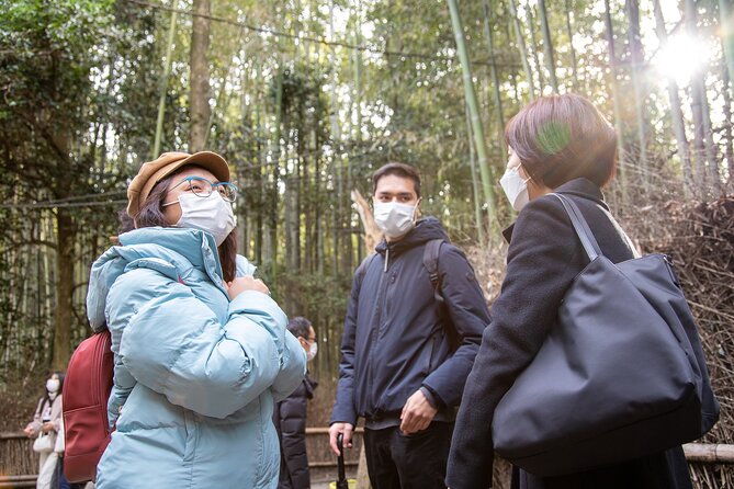 Kyoto Arashiyama Bamboo Forest & Scenery Customized Private Tour - Okochi Sanso Garden and Jojakko-ji Temple
