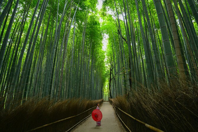 Kyoto: Arashiyama Bamboo, Temple, Matcha, Monkeys & secret spots - Tenryu-ji Temple and the famous dragon pond