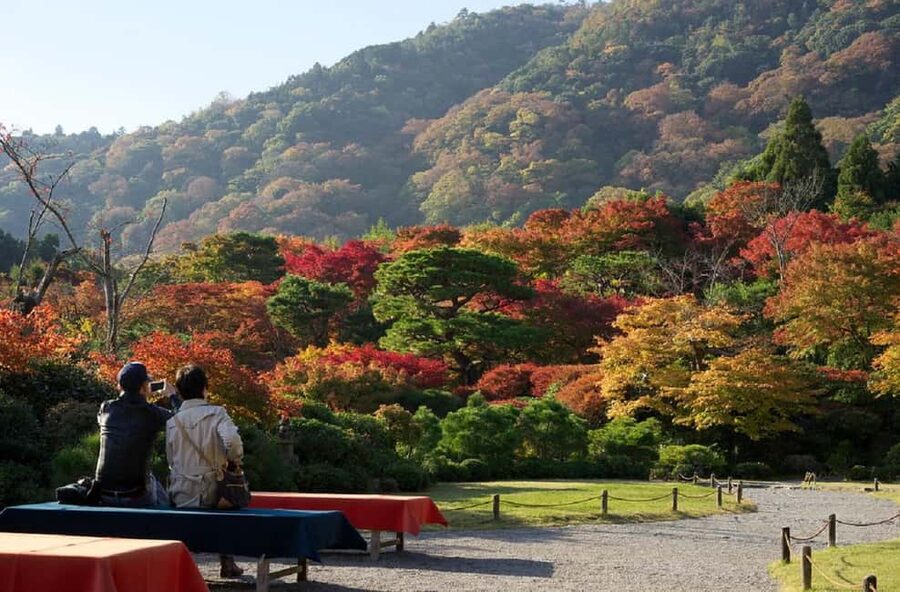 Kyoto: Arashiyama Bamboo, Togetsukyo bridge, Sanso, and more - Key points to know before you go