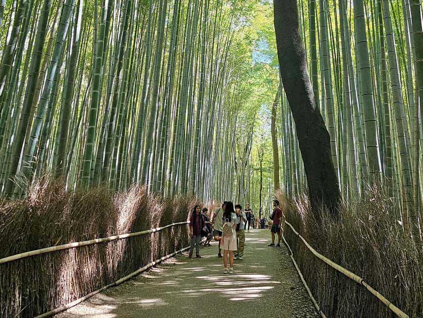 Kyoto: Arashiyama Bamboo, Togetsukyo bridge, Sanso, and more - Okochi Sanso Villa and a quieter garden walk