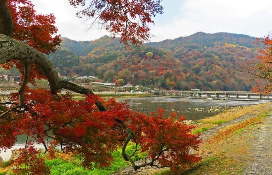Kyoto: Arashiyama Bamboo, Togetsukyo bridge, Sanso, and more - What the guide adds to the experience