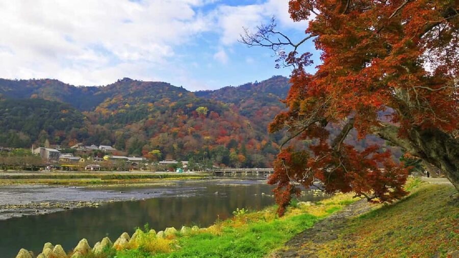 Kyoto: Arashiyama Bamboo, Togetsukyo bridge, Sanso, and more - Is $26 good value?