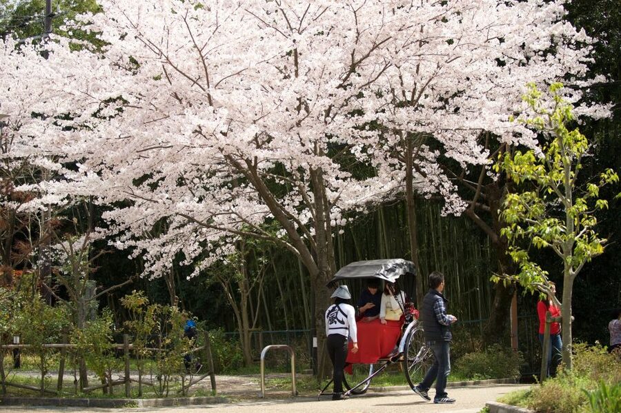 Kyoto: Arashiyama Customized Rickshaw Tour & Bamboo Forest - Rakushisya cottage and the longer routes