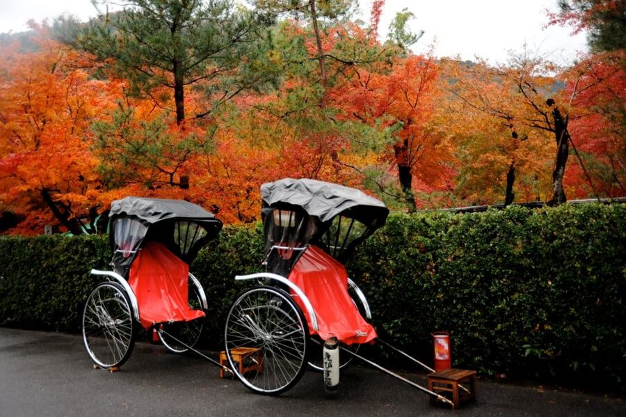 Kyoto: Arashiyama Customized Rickshaw Tour & Bamboo Forest - Is $51 per person good value?