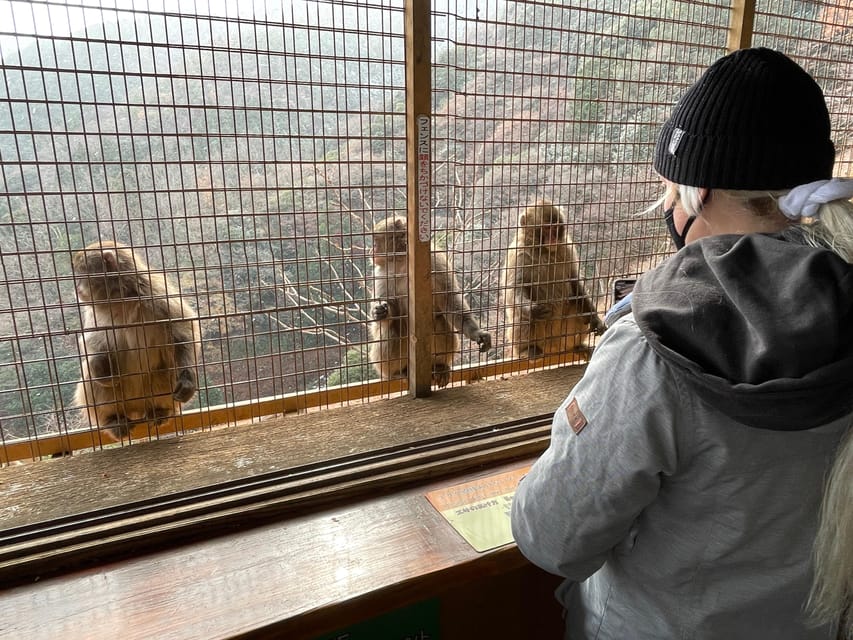 Kyoto: Arashiyama Guided Tour, Bamboo, Monkey, Zen Temple - Key points at a glance
