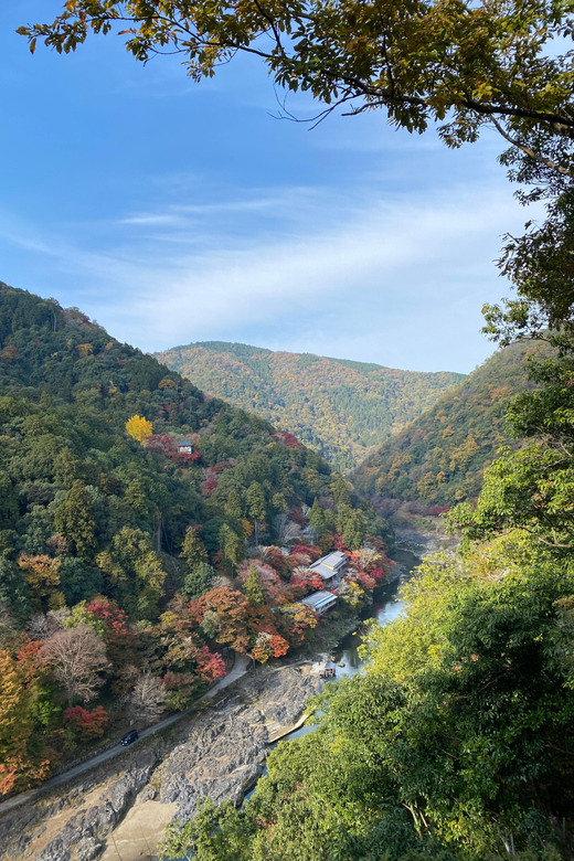 Kyoto: Arashiyama Guided Tour, Bamboo, Monkey, Zen Temple - Starting at JR Saga-Arashiyama Station