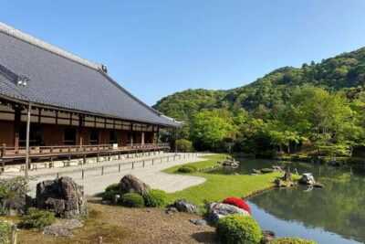 Arashiyama Guided Tour, Bamboo, Monkey, Zen Temple