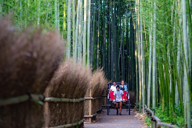 Kyoto Arashiyama Rickshaw Tour with Bamboo Forest - Is $86.88 a Fair Price?