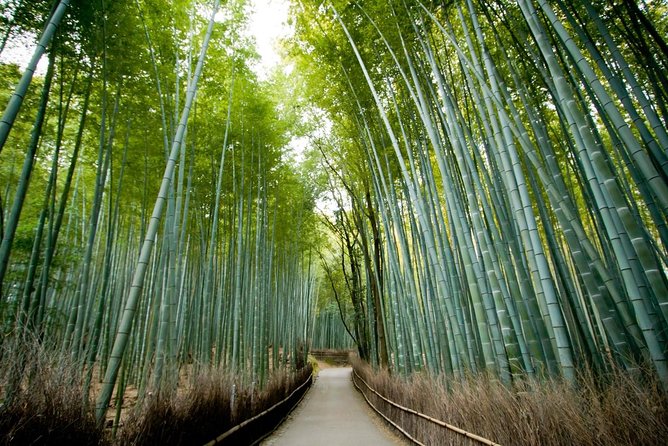 Kyoto Arashiyama Rickshaw Tour with Bamboo Forest - The Short Ride Through the Bamboo Grove