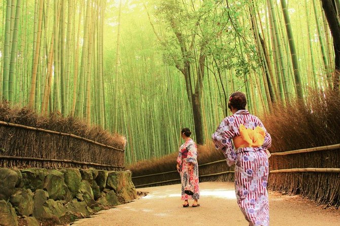 Kyoto Arashiyama & Sagano Bamboo Private Tour with Government-Licensed Guide - Key points before you book