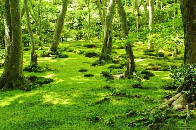 Kyoto Arashiyama & Sagano Bamboo Private Tour with Government-Licensed Guide - Imperial villas, mountain temples, and remote choices