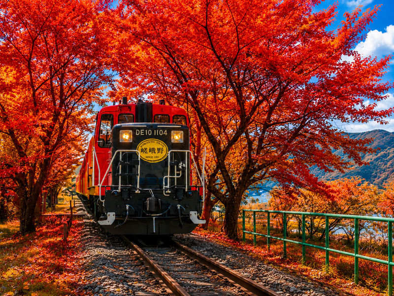 Kyoto Arashiyama Scenic Train & Hozugawa River Boat Ride Day Trip (From Osaka / Kyoto) - At a glance
