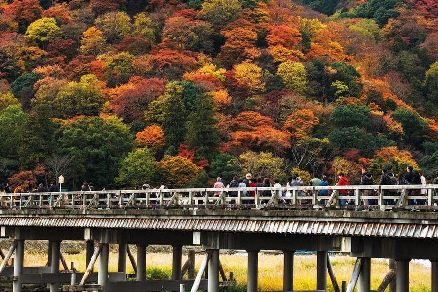 Kyoto: Arashiyama Tour with optional Sagano Romantic Train - Key points to know before booking
