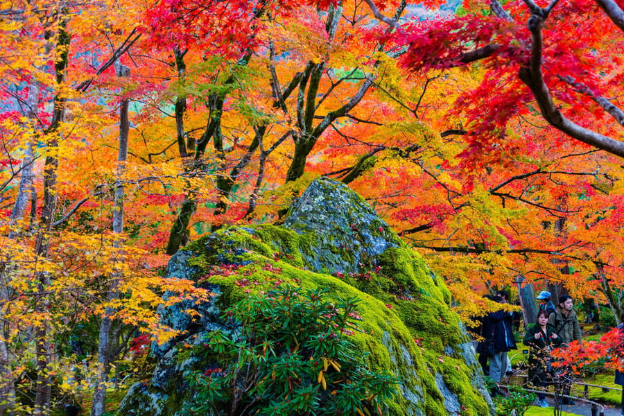 Kyoto: Arashiyama Tour with optional Sagano Romantic Train - Mikami Shrine and the God of Hair