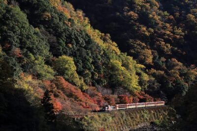 Arashiyama Tour with optional Sagano Romantic Train